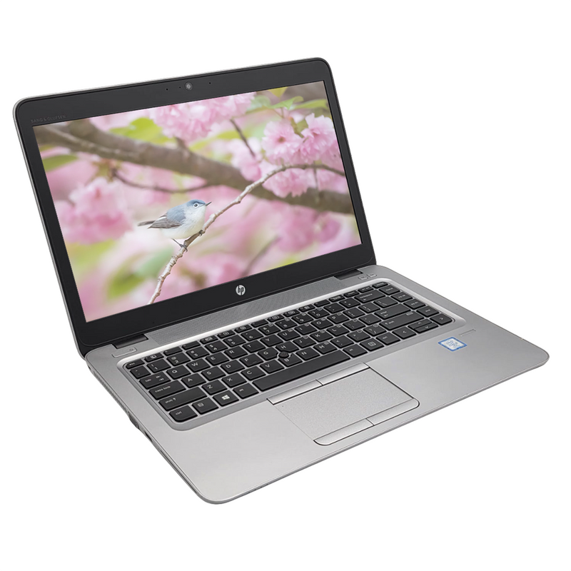 Laptop HP Elitebook 840 G4 Core i5 7ma 8gb Ram 240gb Ssd