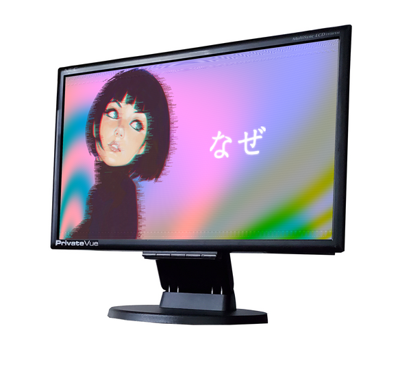 Promoción de Monitor de 19" Widescreen Pulgadas para Computadora